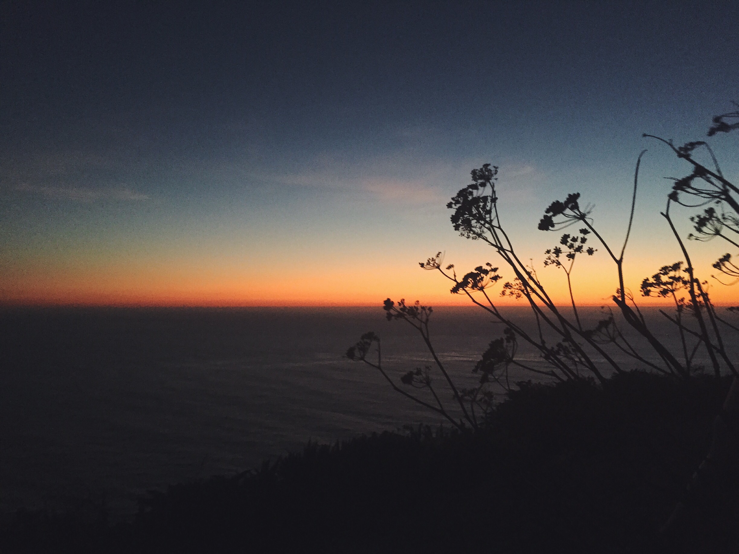 Processed with VSCOcam with f2 preset